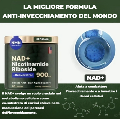 NAD+: LA MIGLIORE SOLUZIONE CONTRO L’INVECCHIAMENTO